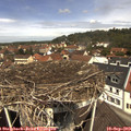 11_55-nest.jpg