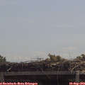 12_00-mast.jpg