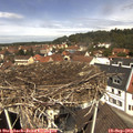 12_05-nest.jpg