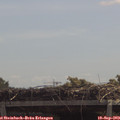 12_10-mast.jpg