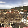 12_10-nest.jpg