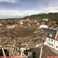 12_20-nest.jpg