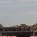 12_25-mast.jpg