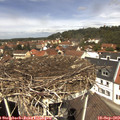 12_25-nest.jpg