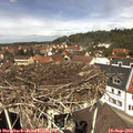 12_30-nest.jpg