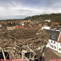 12_45-nest.jpg