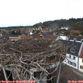 13_05-nest.jpg