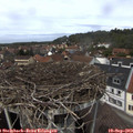 13_10-nest.jpg