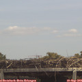 13_20-mast.jpg
