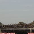 13_30-mast.jpg