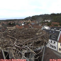 13_35-nest.jpg