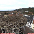 13_40-nest.jpg