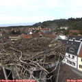 13_45-nest.jpg