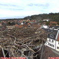 13_50-nest.jpg