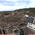 13_55-nest.jpg