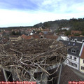 14_05-nest.jpg