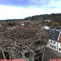 14_10-nest.jpg