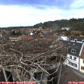 14_15-nest.jpg