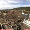 14_30-nest.jpg