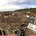 14_35-nest.jpg