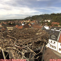 14_40-nest.jpg