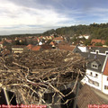 14_45-nest.jpg