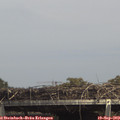 14_55-mast.jpg