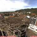 14_55-nest.jpg