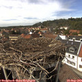 15_00-nest.jpg