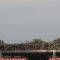 15_05-mast.jpg