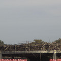 15_10-mast.jpg