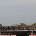 15_15-mast.jpg