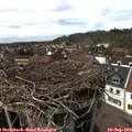 15_30-nest.jpg