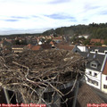 15_35-nest.jpg