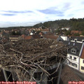 15_40-nest.jpg