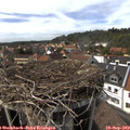 15_45-nest.jpg