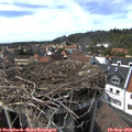 15_55-nest.jpg