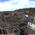 16_05-nest.jpg