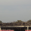 16_10-mast.jpg