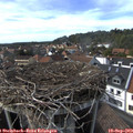 16_15-nest.jpg