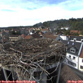 16_20-nest.jpg
