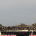 16_25-mast.jpg