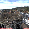 16_25-nest.jpg