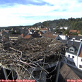 16_35-nest.jpg