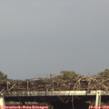 16_40-mast.jpg