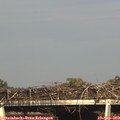 17_15-mast.jpg