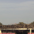 17_30-mast.jpg