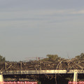 17_35-mast.jpg