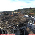 17_35-nest.jpg