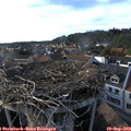 17_45-nest.jpg